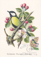 Carte Maximum Hongrie Hungary Oiseau Bird 1479 Mésange Tit - Cartoline Maximum