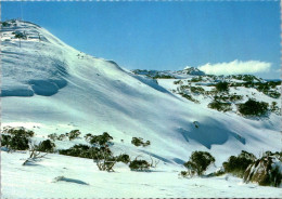 12-3-2025 (2 Y 46) Australia - NSW / VIC - The Australian Alps In Winter - Autres & Non Classés