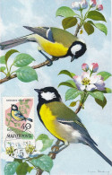 Carte Maximum Hongrie Hungary Oiseau Bird 1479 Mésange Tit - Tarjetas – Máximo