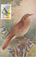 Carte Maximum Hongrie Hungary Oiseau Bird 1478 Rossignol Nightingale - Maximum Cards & Covers