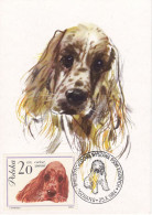 Carte Maximum Pologne Poland Chien Dog 1232 Cocker - Maximum Cards