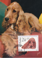 Carte Maximum Pologne Poland Chien Dog 1232 Cocker - Cartes Maximum