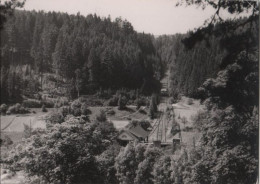 83611 - Oberweissbach - Oberweissbacher Bergbahn - 1966 - Oberweissbach