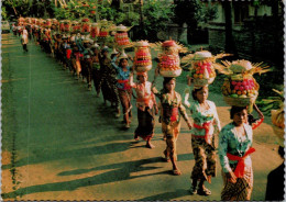 12-3-2025 (2 Y 48) Indonesia - Bali Women & Fruits Offering Going To Temple - Buddismo