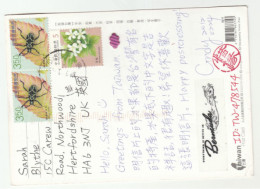 BEETLE  Multi Stamps TAIWAN COVER Postcard Fruit Insect Insects China - Käfer