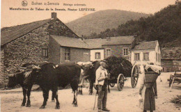 Bohan S/semois Attelage Ardennais N'a Pas Circulé - Vresse-sur-Semois