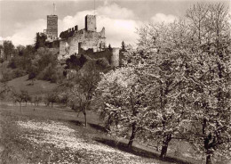 73963972 Roetteln_Roettelweiler_Loerrach Roettler Schloss Baumbluete - Loerrach