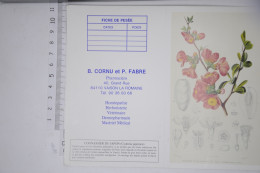 Lot De 2 Petits Calendriers Mini Calendrier 1992 CORNU FABRE Pharmacie 84 Vaison / Illustration Jujubier Cognassier - Grand Format : 1971-80