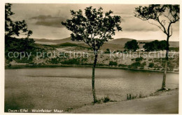 73623033 Daun Eifel Panorama Weinfelder Maar Daun Eifel - Daun