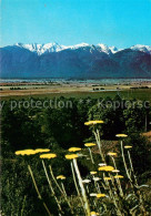 73620722 Pirin Panorama Pirin - Bulgarie