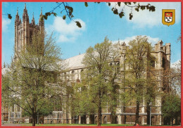 England - Canterbury : The Cathedral - Unwritten Postcard - Very Good Condition - Canterbury