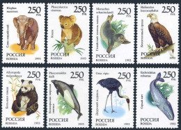 Russia 6184-6191,6191a,MNH.Michel 351-358. Wild Life 1993.Birds,Mammals. - Neufs