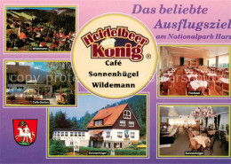 73615293 Wildemann Heidelbeer Koenig Cafe Wildemann Cafegarten Festsaal Sonnenhu - Wildemann