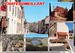 18-CHATEAUMEILLANT-N°3685-C/0047 - Châteaumeillant