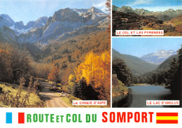 64-COL DU SOMPORT-N°3686-D/0107 - Col Du Somport