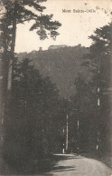 FRANCE - Vue Sur Le Mont Saint Odile - Carte Postale Ancienne - Sainte Odile