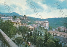 CARTOLINA  C2 SEGNI M.668,ROMA,LAZIO-PANORAMA-STORIA,MEMORIA,CULTURA,IMPERO ROMANO,BELLA ITALIA,VIAGGIATA 1979 - Bar, Alberghi & Ristoranti