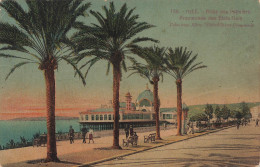 FRANCE - Nice - Vue Sur L'allée Des Palmiers - Promenade Des Etats-Unis - Animé - Colorisé - Carte Postale Ancienne - Sonstige & Ohne Zuordnung