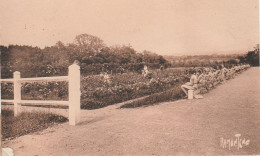 LA MOTTE VENDEE MOTHE ACHARD LA ROSERAIE TBE - La Mothe Achard