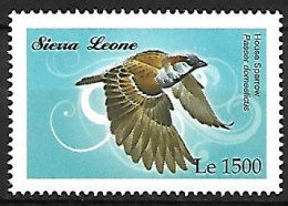 Sierra Leone - MNH ** 2009 :  House Sparrow  -  Passer Domesticus - Passereaux