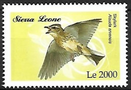 Sierra Leone - MNH ** 2009 :   Eurasian Skylark    Alauda Arvensis - Songbirds & Tree Dwellers