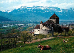 73592607 Vaduz Schloss Rheintal Kreuzberge Vaduz - Liechtenstein