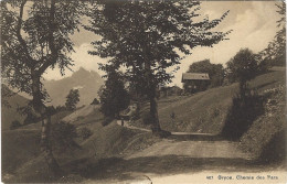 Gryon Chemin Des Pars 1917 Animée - Gryon