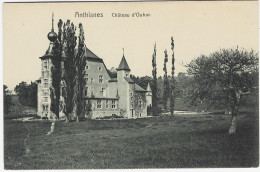 ANTHISNES : Château D'Ouhar - Anthisnes