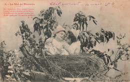 COUPLES - Un Couple Dans Un Nid - Le Nid De Pierrots - Carte Postale Ancienne - Paare