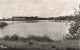 FRANCE - Freteval Sur Loir ( L Et Ch) - Vue Générale De L'Etang - Carte Postale Ancienne - Vendome