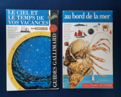 Lot De 2 Livres Gallimard De 1994 - Loten Van Boeken