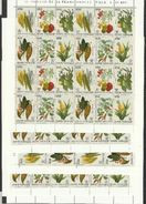 1992 Vaticano Vatican FLORA FIORI E FRUTTA, FLOWERS AND FRUIT 20 Serie Di 6v. In 5 Minifogli MNH** 5 Minisheets - Neufs