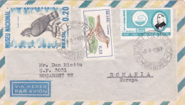 BIRDS STAMPS ON COVERS, POSTAL AEREO COVERS 1968,BRAZIL - Lettres & Documents