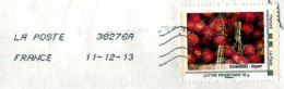 MONTIMBREAMOI " RAMBOUTANS GUYANE " OBLITÉRÉ SUR ENVELOPPE ENTIÈRE (1134)_Ti109 - Altri & Non Classificati