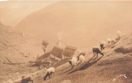 FRANCE - Gavarnie Hautes Pyrénées - Pâturage Dans La Montagne - Vue Générale - Carte Postale Ancienne - Argeles Gazost