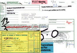 Danimarca (1991) - Bollettino Pacchi Per La Francia - Cartas & Documentos