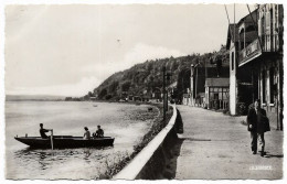 VILLEQUIER - Le Passeur - Villequier