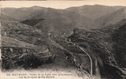 FRANCE - Meyrueis - Vallée De La Jonte Très Pittoresque - Vue De La Route De St Enimie - Carte Postale Ancienne - Meyrueis