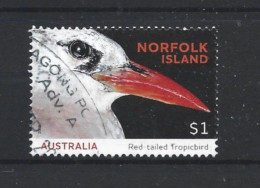 Norfolk 2016 Bird Y.T. 1190 (0) - Isola Norfolk