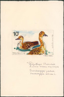 Projet Non Retenu Réalisé Par J. Van Noten Sur Les Oiseaux Aquatiques (République Rwandaise, 1975) 10F Signé + Couleurs - Altri & Non Classificati