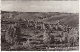 De Steeg, Panorama Vanaf De Posbank - (Nederland/Holland) - 1960 - Rheden