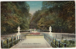 Oprijlaan Kasteel Middachten.  - (Nederland/Holland) - 1915 - Nauta, 10824 - Rheden