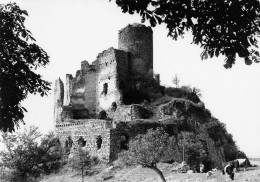 Chateau De LEOTOING  38 (scan Recto Verso)nono0114 - Montfaucon En Velay