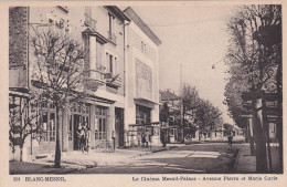 LE BLANC-MESNIL -93- Le Cinéma Mesnil-Palace - Avenue Pierre Et Marie Curie - Animation - 12-03-24 - Le Blanc-Mesnil