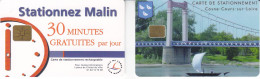 Lot De 2 Cartes De Stationnement De LAGNY/MARNE Et COSNE-COURS-SUR LOIRE - Cartes De Stationnement, PIAF