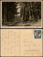 Ansichtskarte .Niedersachsen Waldweg Bei Der Sepperser Mühle 1934 - Lüneburger Heide