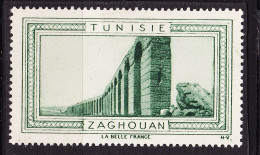 13011 ● ZAGHOUAN TUNISIE Vignette De Collection LA BELLE FRANCE 1925s H-V Helio VAUGIRARD PARIS Erinnophilie - Turismo (Vignette)