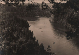 43522 - Mittweida-Lauenhain - Zschopau Mit Wappenfelsen - 1965 - Mittweida