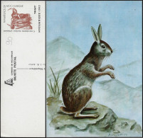 Mozambique 1983. Entier Postal Illustré. Lapin - Konijnen