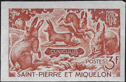 Saint Pierre & Miquelon SPM 1964 Y&T 372. Essai De Couleurs. Animaux, Lapins, La Cuniculiculture - Lapins